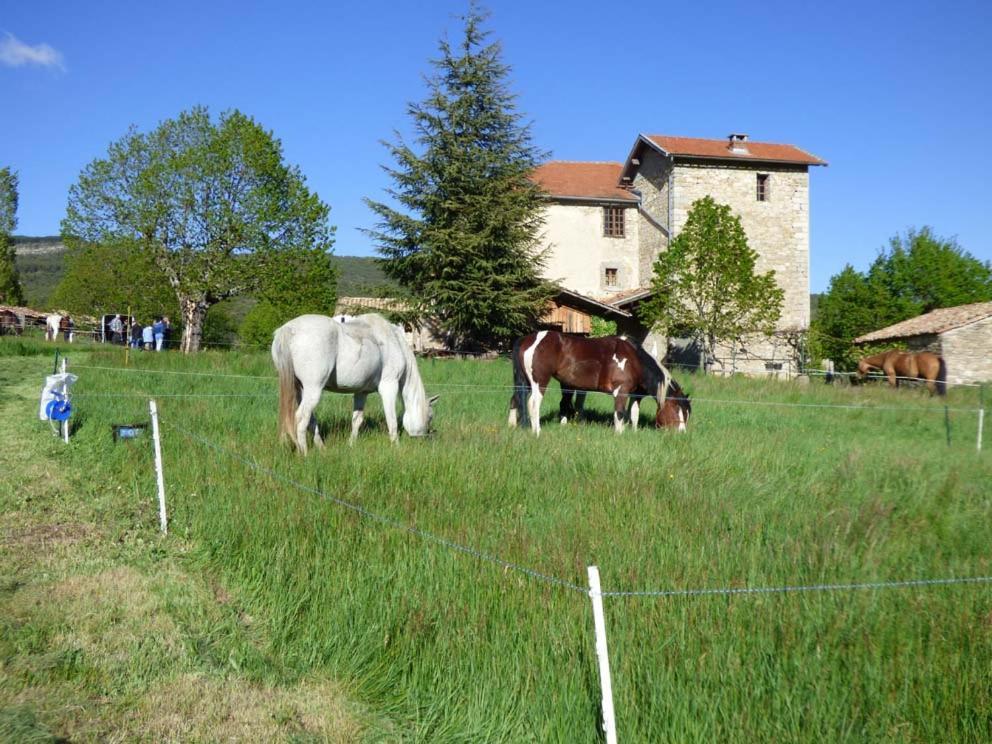 Le Relais Des Baronnies Hotel Montjay  Exterior foto