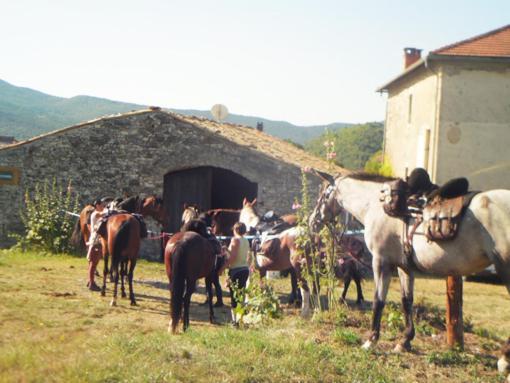 Le Relais Des Baronnies Hotel Montjay  Exterior foto
